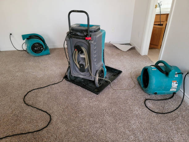 Best 24/7 water damage repair  in Suncoast Estates, FL