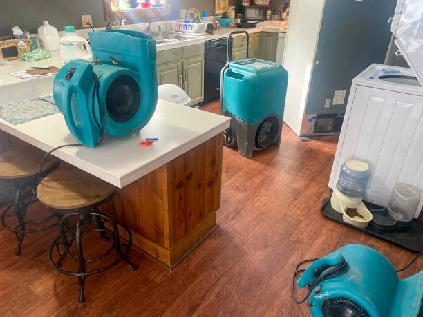 Best Commercial water damage restoration  in Suncoast Estates, FL