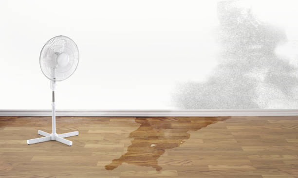 Local water damage restoration in FL