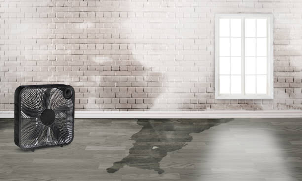 Best Flooded house restoration  in Suncoast Estates, FL