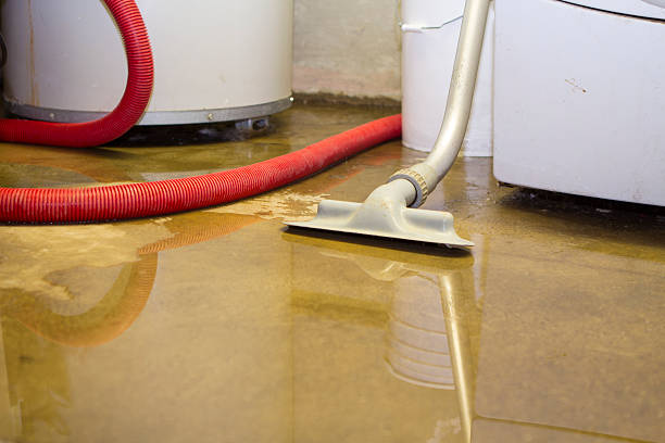 Best Sewage cleanup and water damage restoration  in Suncoast Estates, FL
