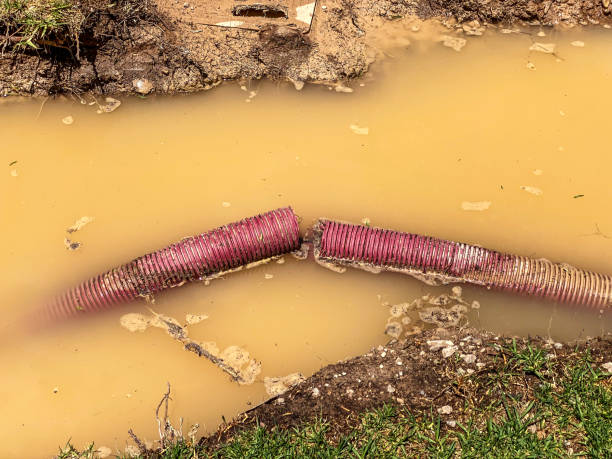 Best Flood restoration services  in Suncoast Estates, FL