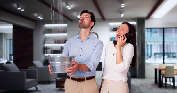Best Water damage restoration near me  in Suncoast Estates, FL